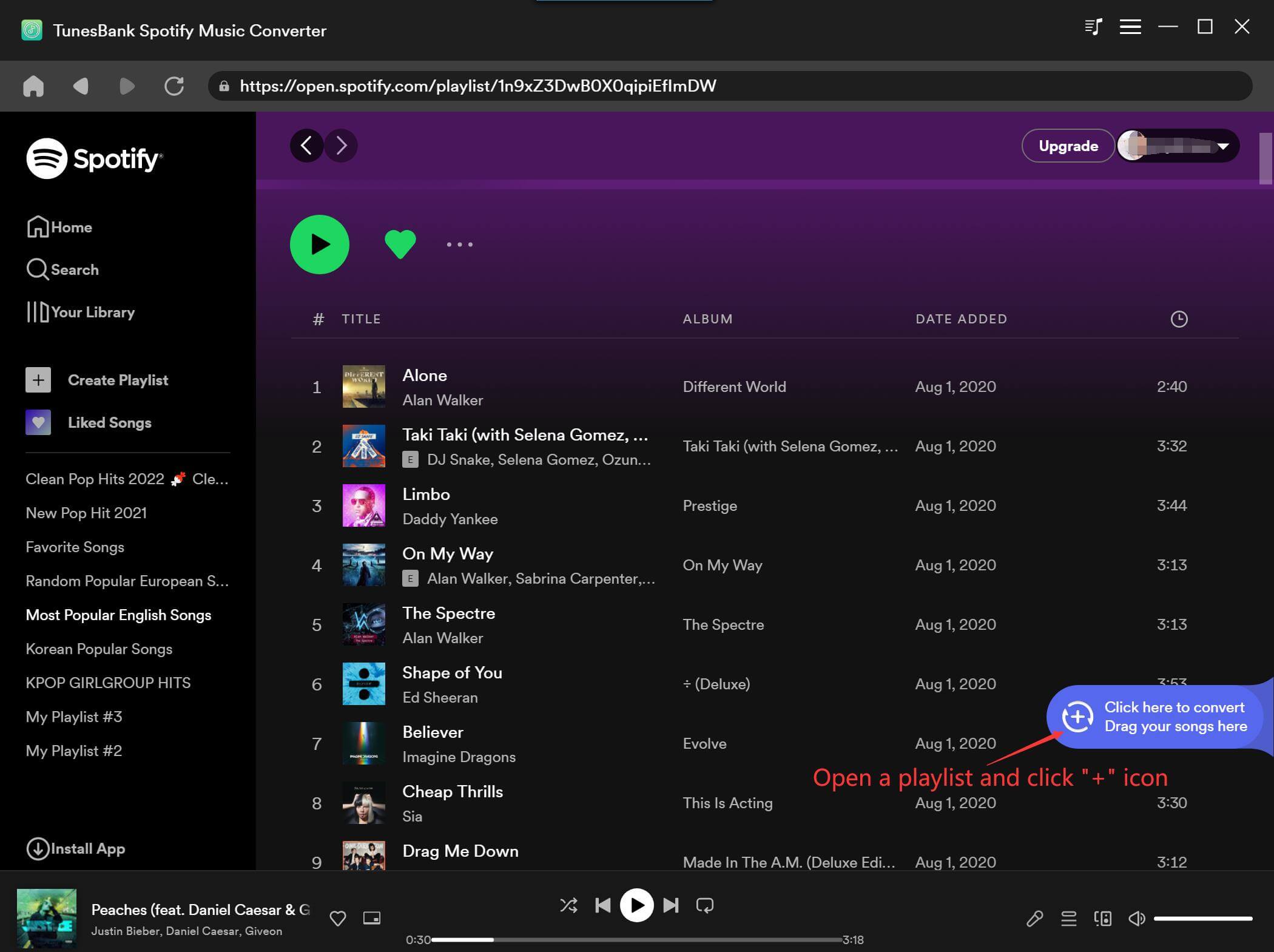 Tunesbank Spotify Music Converter