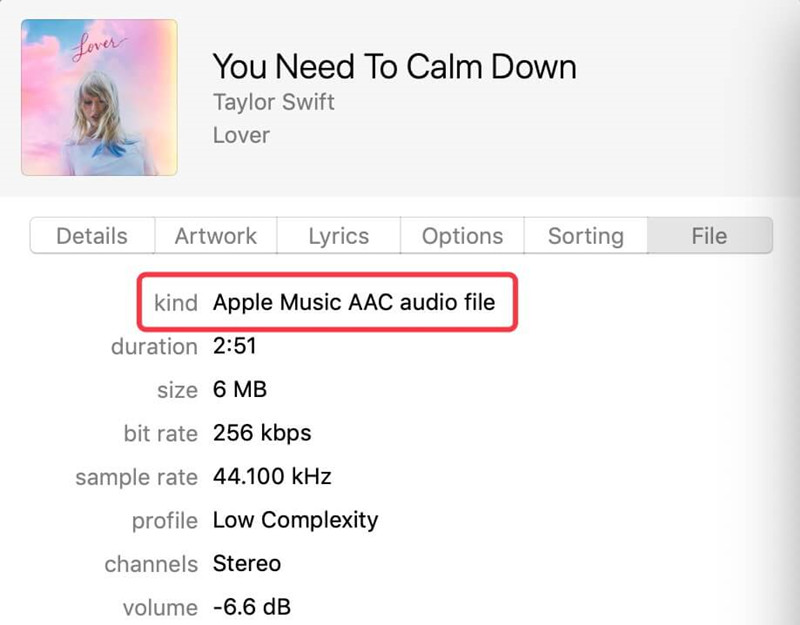 How to Convert Apple Music to MP3 (2024 Updated)