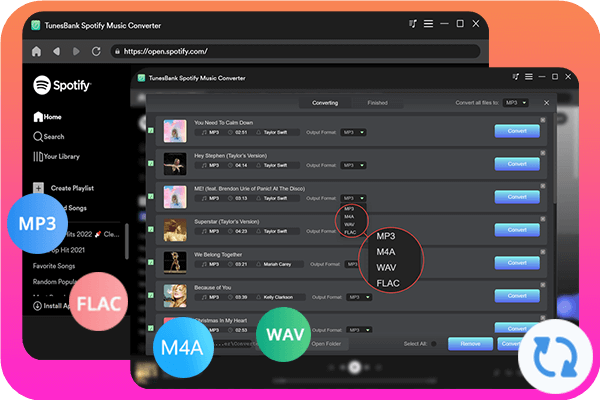 Konverter Spotify Musik til MP3 uden tab