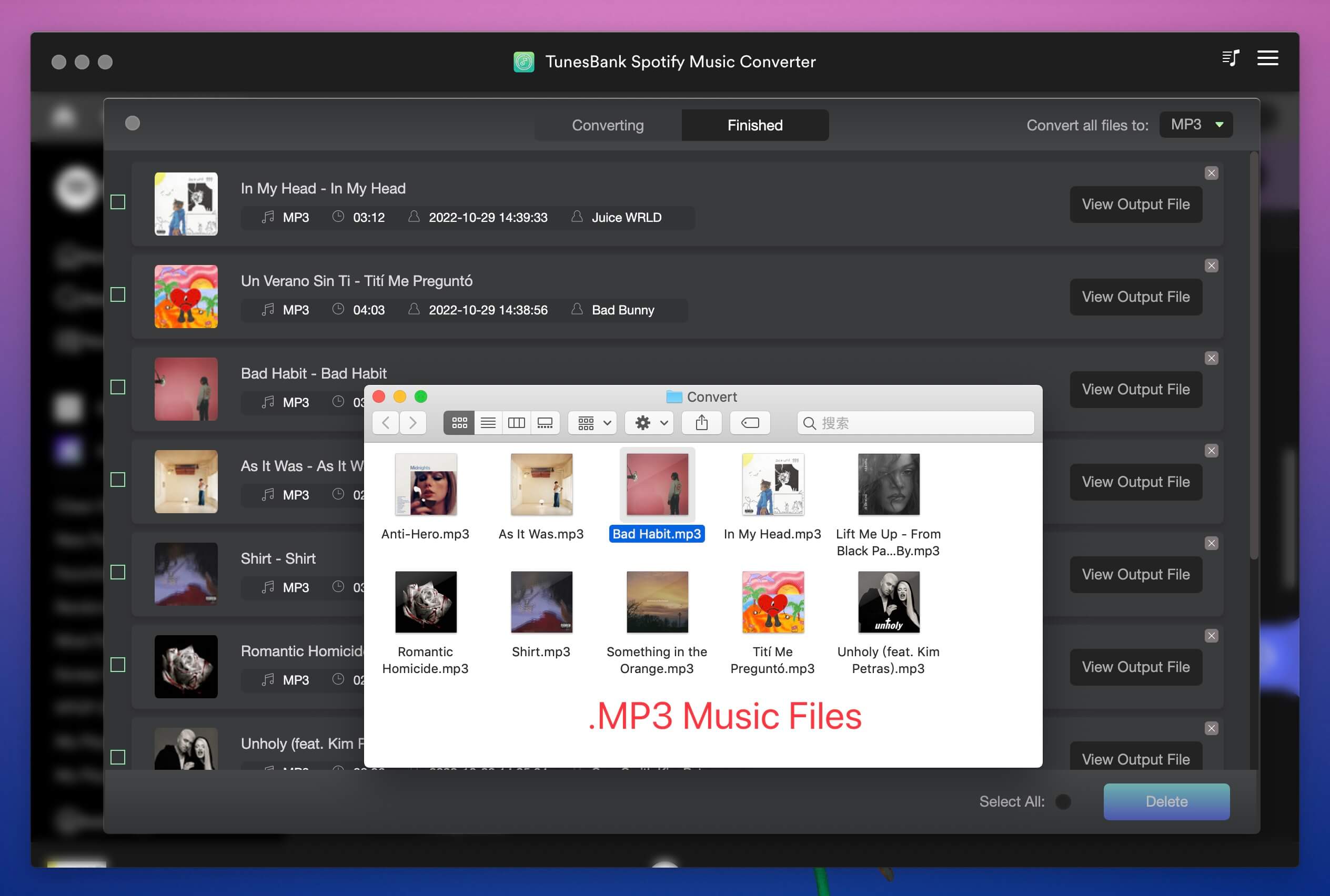 spotify to MP3 converter