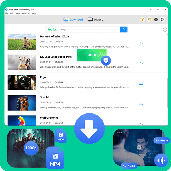 hulu video dl product