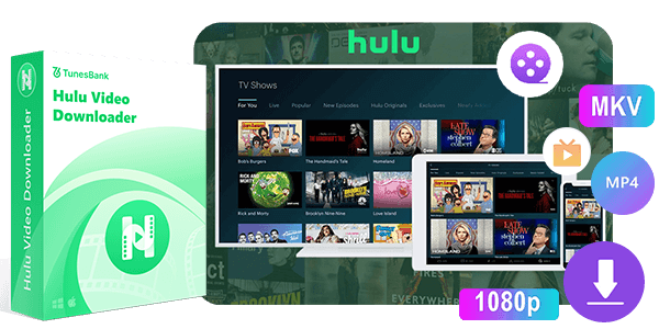 HulU-video-banner