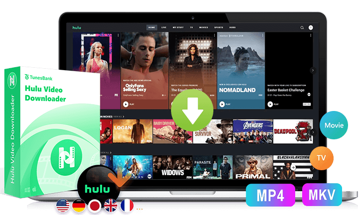 downloader de vídeo hulu