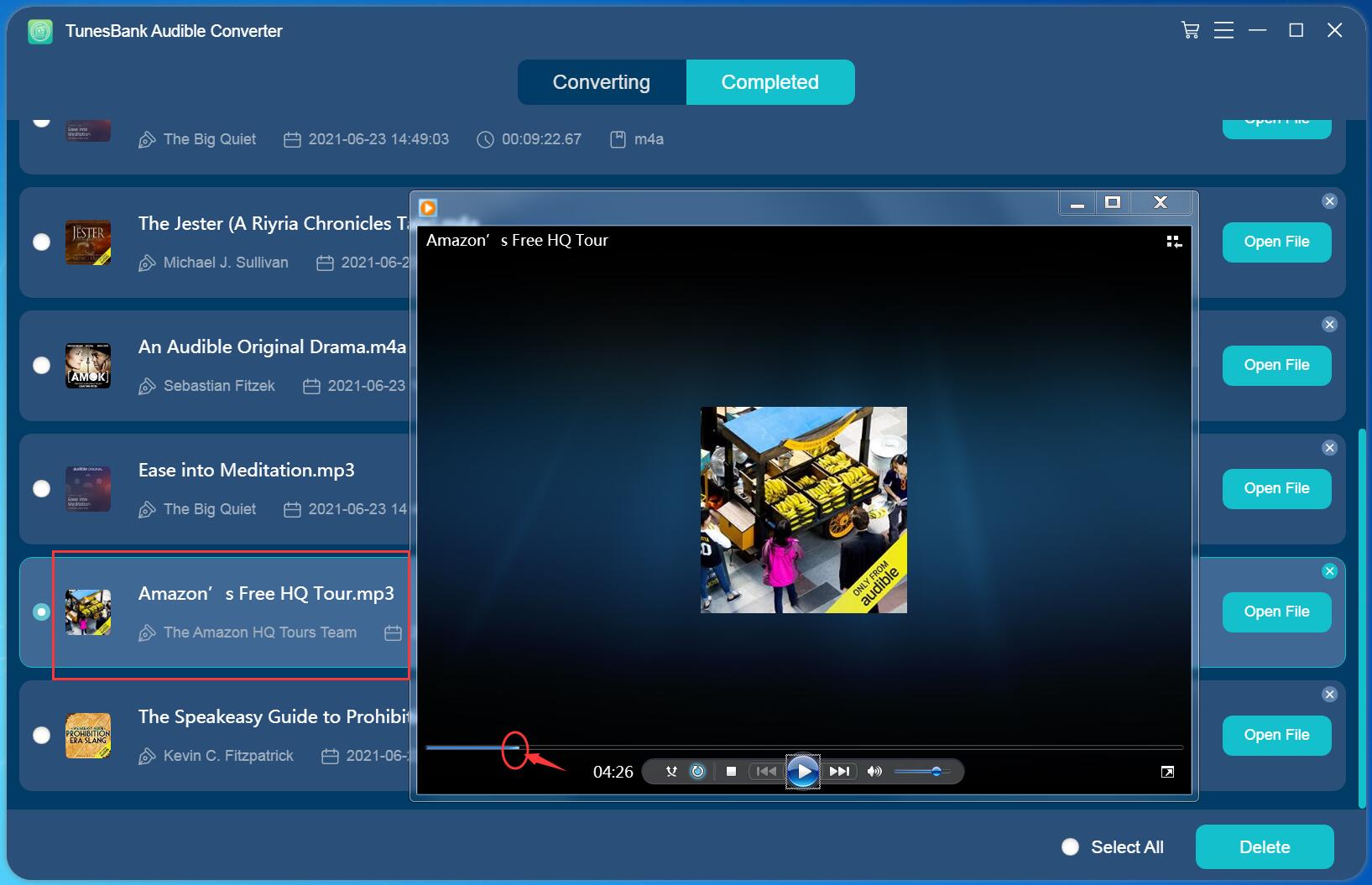 listen to audible files on Windows Media Player