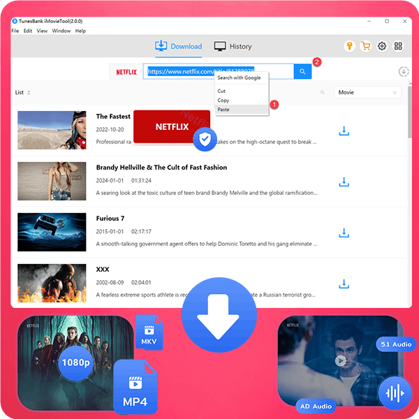 netflix dl product