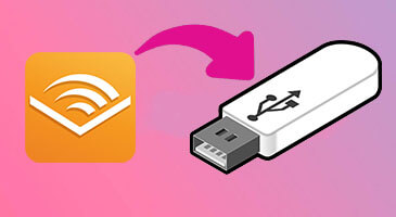 Trasferisci audiolibri su chiavetta USB