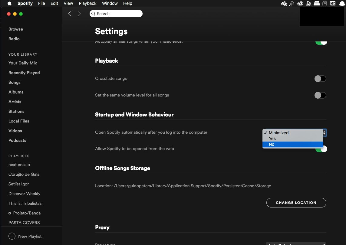 verifique as músicas baixadas do Spotify no computador