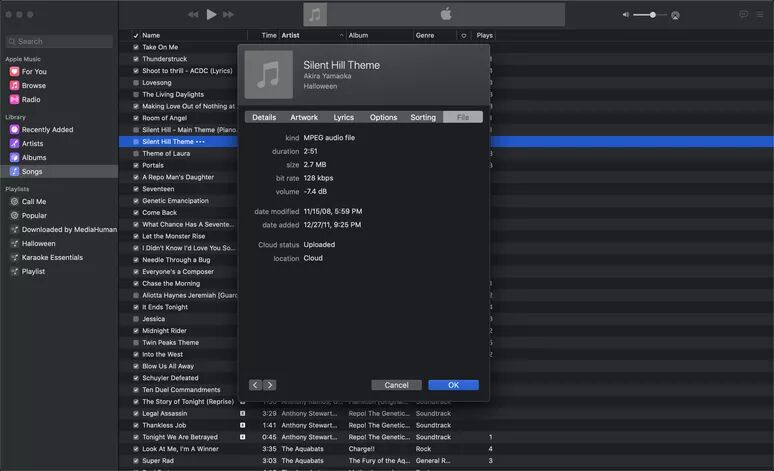 comprobar el formato de archivo en iTunes