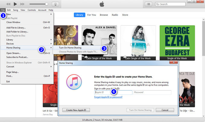 turn on home sharing on itunes