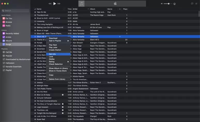 check song info in iTunes