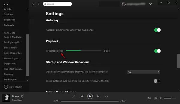 Spotify DJ mode