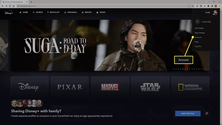 disneyplus profili