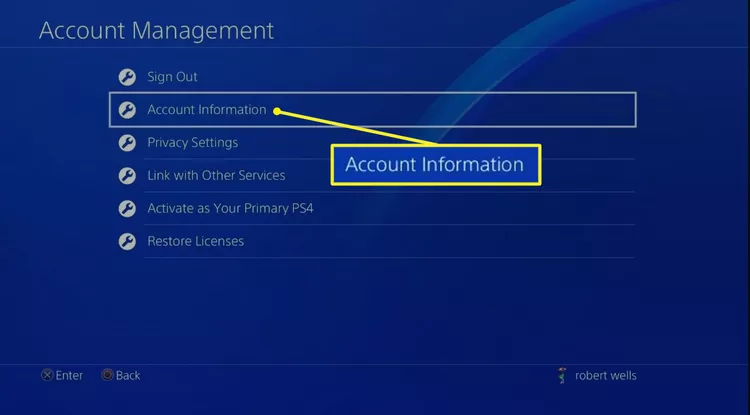 account info in ps4