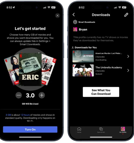 set Netflix Allocate Storage