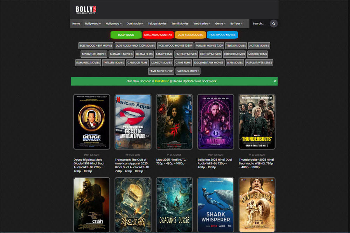 free bollywood mkv movie download site - BollyFlix