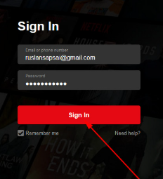 sign in Netflix account