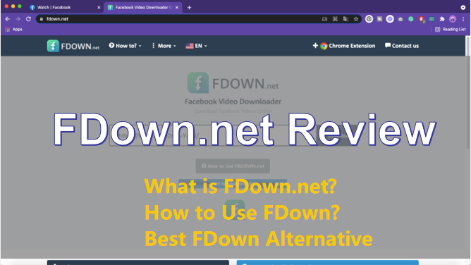FDown.net Review