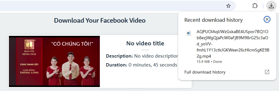 downloaded video of FDown.net