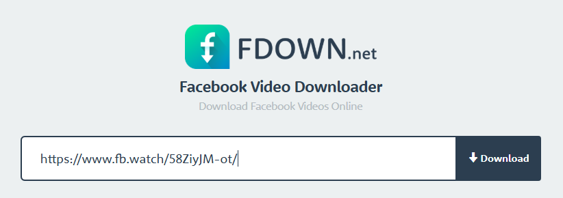 paste URL in FDown.net