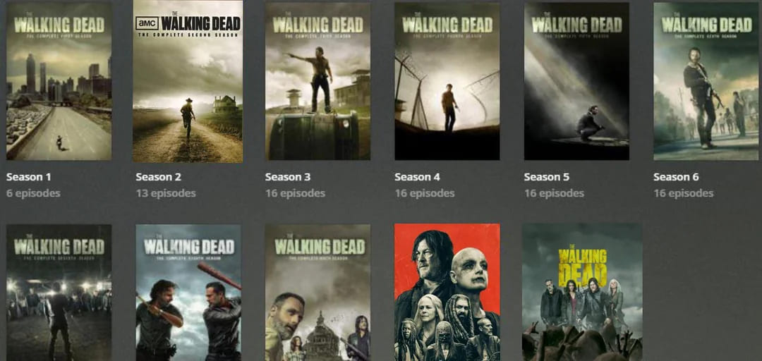 The Walking Dead seasons 1-11