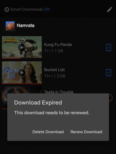 Netflix download expires