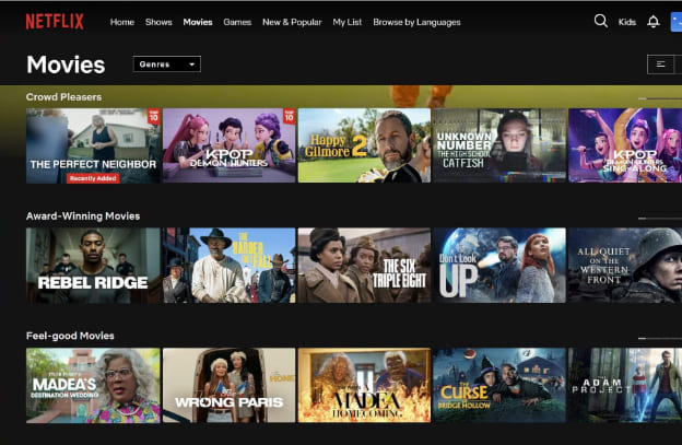 Netflix interface
