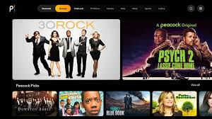 best netflix alternative - Peacock