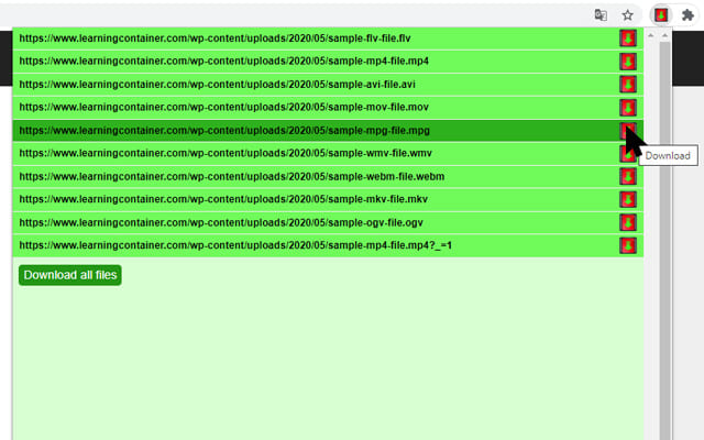 Flash Video Downloader