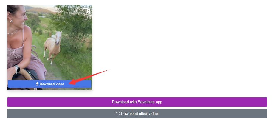 download Instagram video online