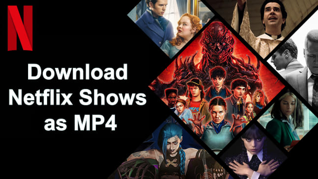 download netflix show as mp4