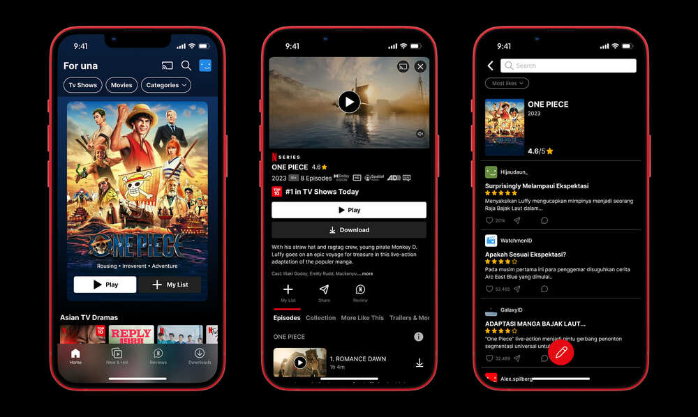 Hidive vs Netflix: Netflix interface